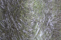 Parbrook fibreglass roof work